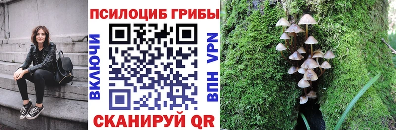 кракен как зайти  Власиха  Псилоцибиновые грибы MAGIC MUSHROOMS 